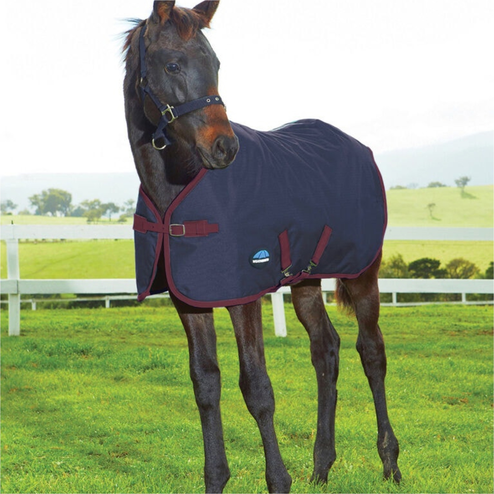 2025 Weatherbeeta 1200D Fohlen Standard Hals 220G 1028799 - Navy